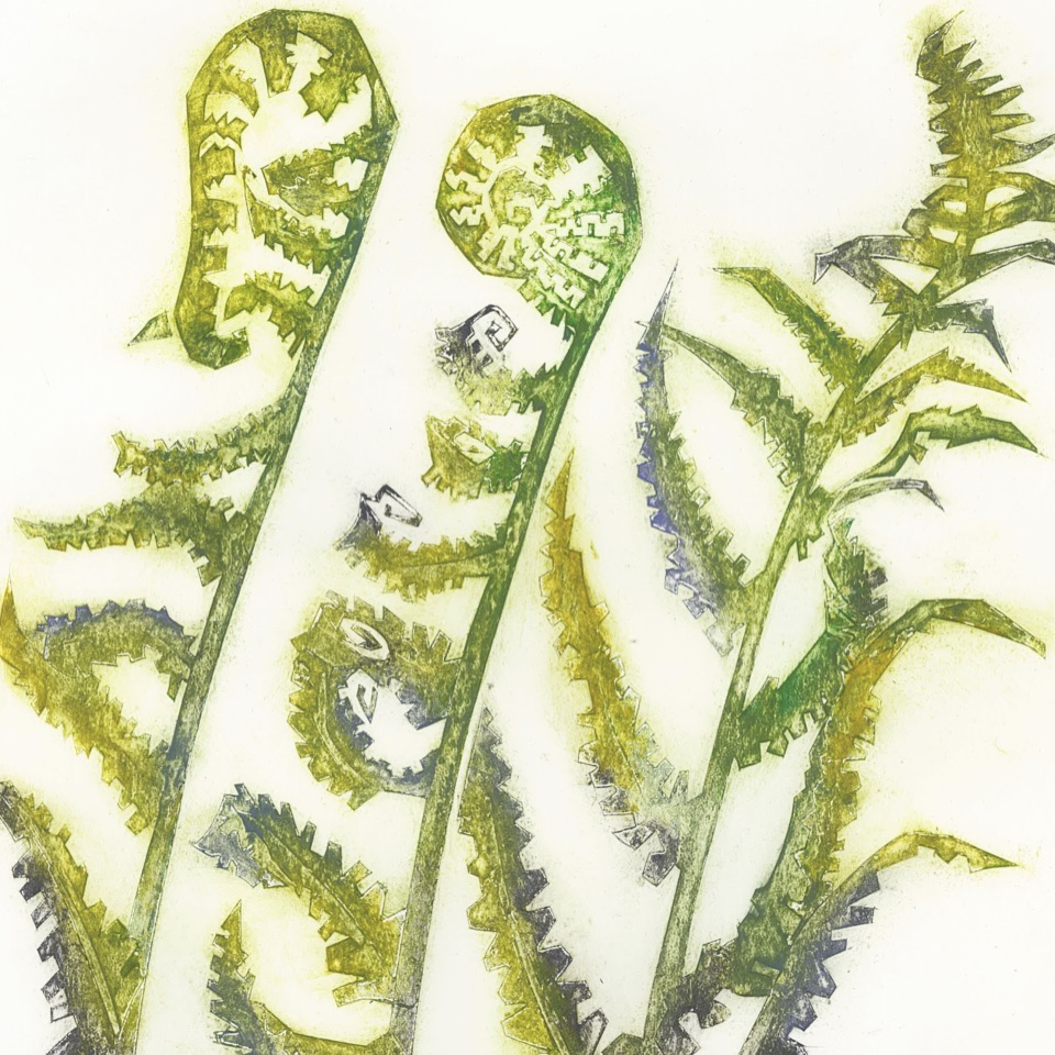 Three Green Ferns Unfolding