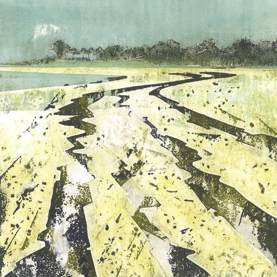 Tide Line